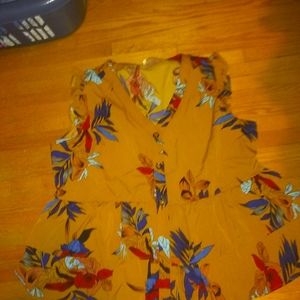 Spring Summer shirts